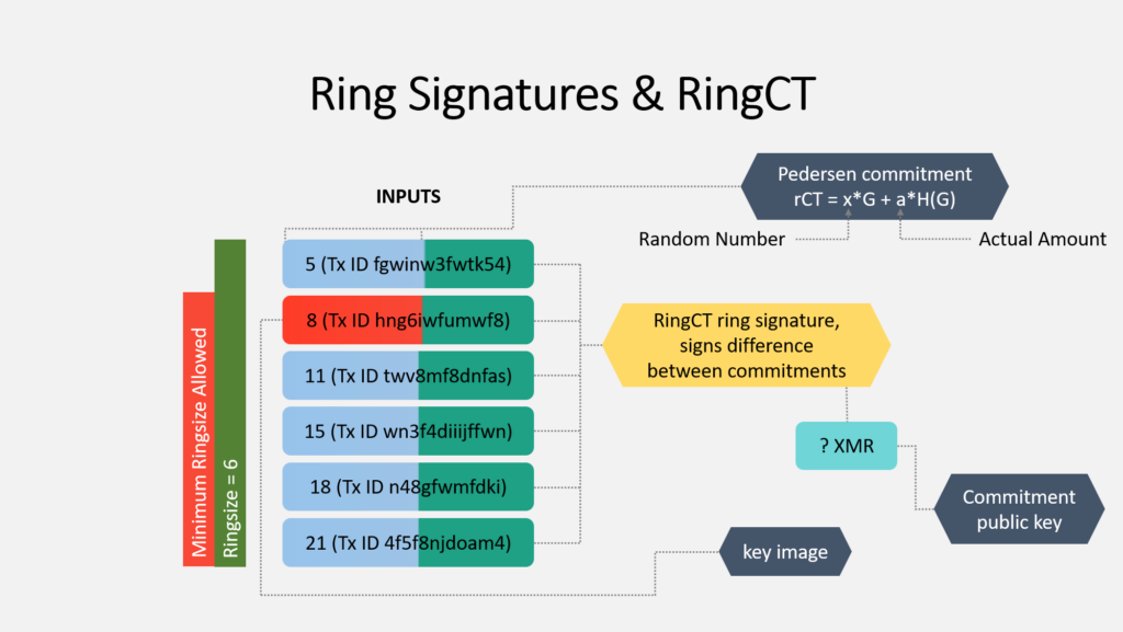 Pokud použiji Ring Signature, skrývám, který input bude použit. Všechny tyto inputy vypadají jako skutečný odesílatel, ale pouze jeden (můj červený) je skutečný. Mimo můj input je v ringu umístěno 5 dalších "decoy" inputů, které pocházejí z 5 dalších uzlů v síti, od nichž nepotřebuju žádné povolení k připojení do Ring Signature. Právě díky tomu, že jsou všechny inputy podepsány v ringu, nemůže žádný vnější pozorovatel určit, že můj input je ten červený :))